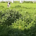 Landsted Masseria Cassiere Mottola