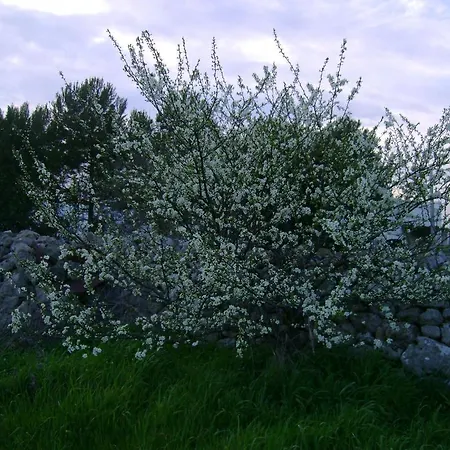 Masseria Cassiere منزل ريفي *