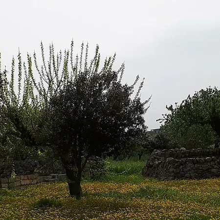 Masseria Cassiere Landhuis Mottola