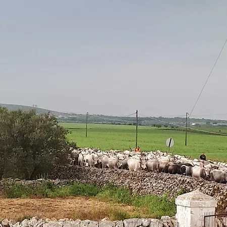 Masseria Cassiere * Mottola